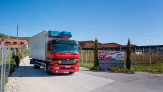 exklusiver Transport der geernteten Früchte nach Wien zum Großmarkt